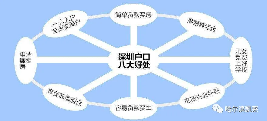 深圳本科学历办理条件及入户资格