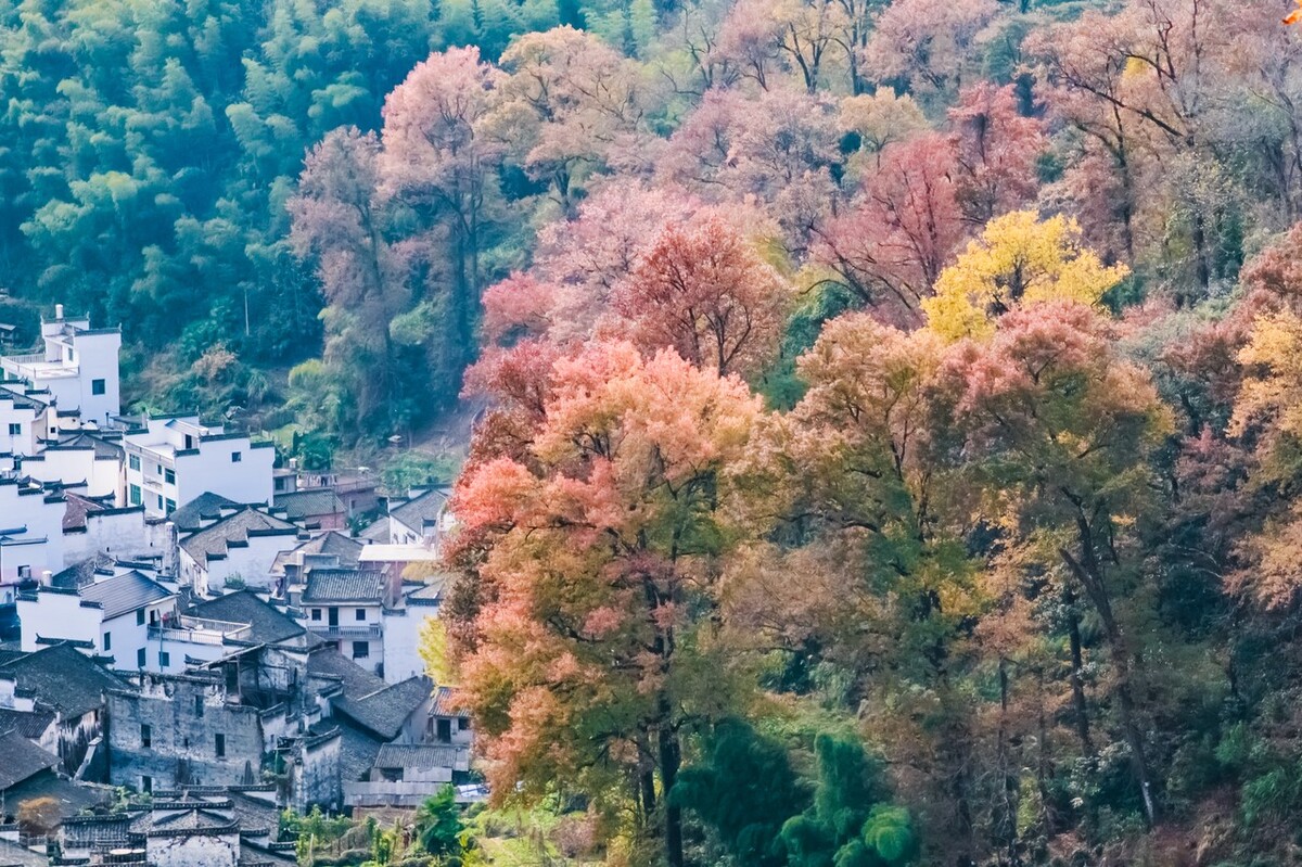 农村户口好，还是城镇户口强：风水轮流转的户口