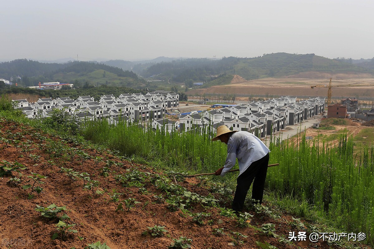 都说“农村好”，“好”在哪？“农村户口”有何优势？