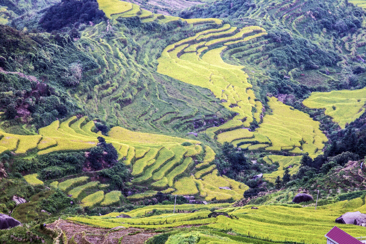 农村户口好，还是城镇户口强：风水轮流转的户口