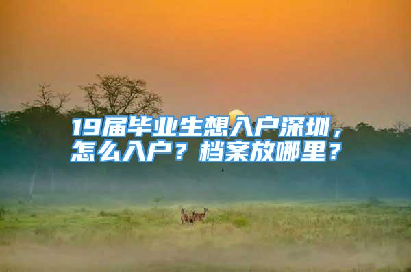 19届毕业生想入户深圳，怎么入户？档案放哪里？