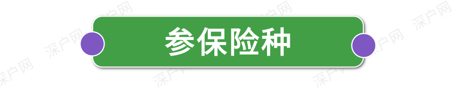 新政执行！非深户也能自己交医保！网上就能办