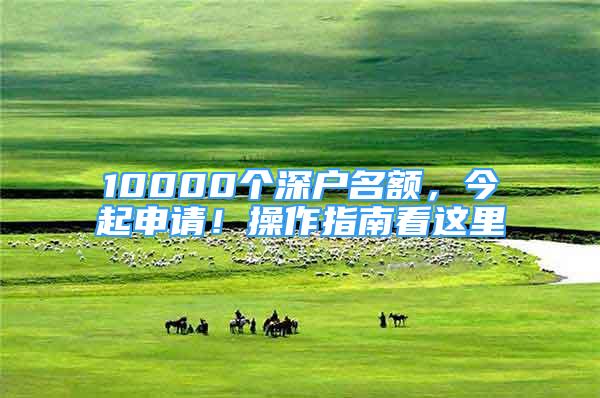 10000个深户名额，今起申请！操作指南看这里