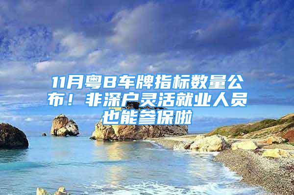 11月粤B车牌指标数量公布！非深户灵活就业人员也能参保啦