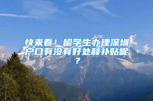 快来看！留学生办理深圳户口有没有好处和补贴呢？