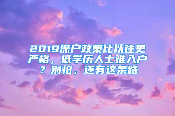 2019深户政策比以往更严格，低学历人士难入户？别怕，还有这条路