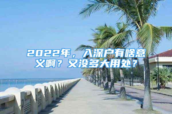 2022年，入深户有啥意义啊？又没多大用处？