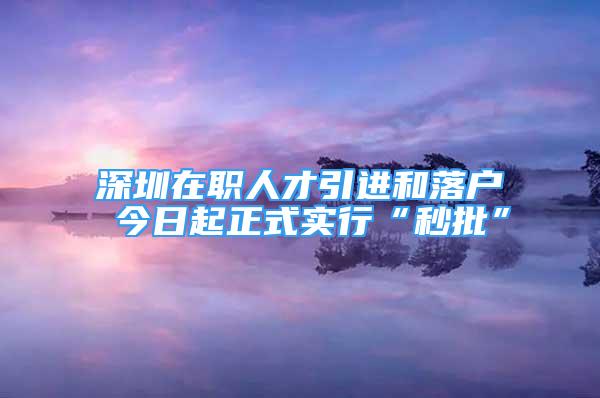 深圳在职人才引进和落户 今日起正式实行“秒批”