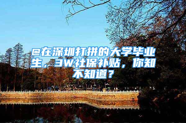 @在深圳打拼的大学毕业生，3W社保补贴，你知不知道？