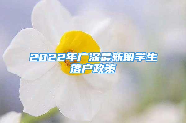 2022年广深最新留学生落户政策