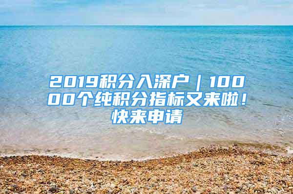 2019积分入深户｜10000个纯积分指标又来啦！快来申请