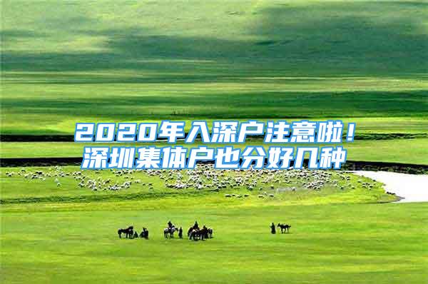 2020年入深户注意啦！深圳集体户也分好几种