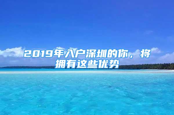 2019年入户深圳的你，将拥有这些优势