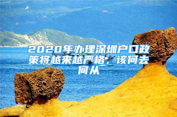 2020年办理深圳户口政策将越来越严格，该何去何从