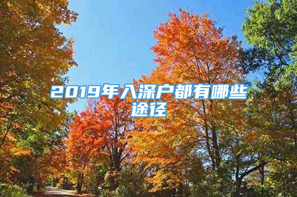 2019年入深户都有哪些途径