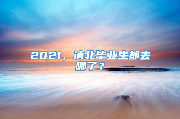 2021，清北毕业生都去哪了？