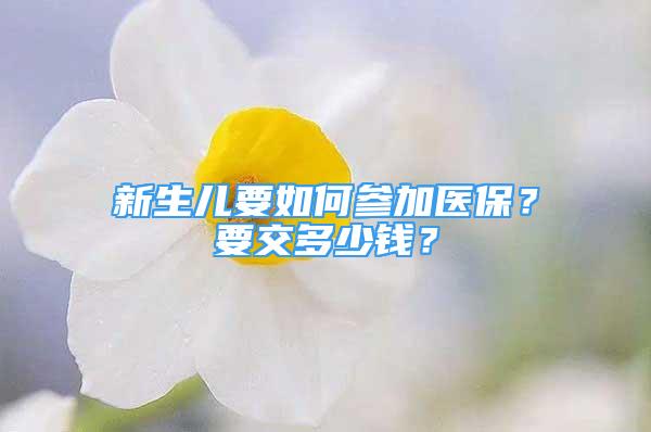 新生儿要如何参加医保？要交多少钱？