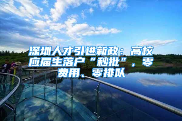 深圳人才引进新政：高校应届生落户“秒批”, 零费用、零排队