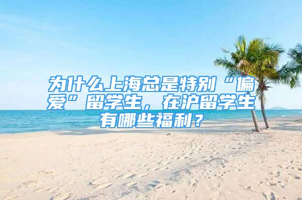 为什么上海总是特别“偏爱”留学生，在沪留学生有哪些福利？