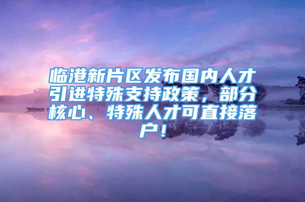 临港新片区发布国内人才引进特殊支持政策，部分核心、特殊人才可直接落户！