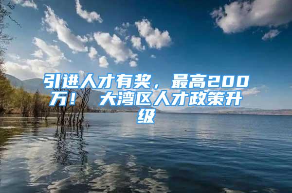 引进人才有奖，最高200万！ 大湾区人才政策升级