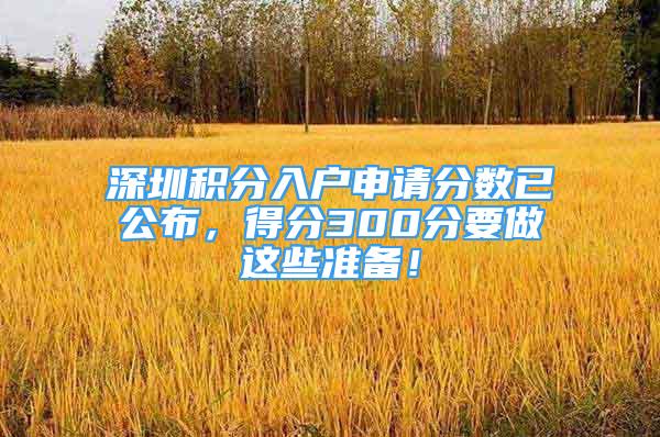 深圳积分入户申请分数已公布，得分300分要做这些准备！