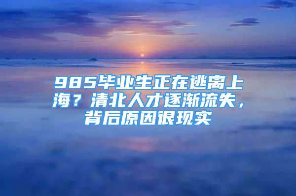 985毕业生正在逃离上海？清北人才逐渐流失，背后原因很现实