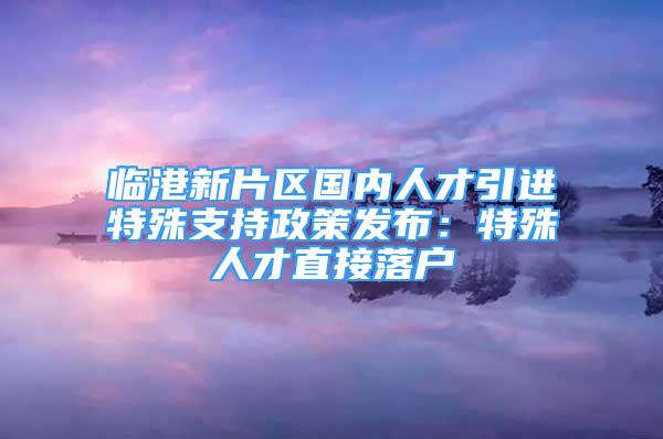 临港新片区国内人才引进特殊支持政策发布：特殊人才直接落户