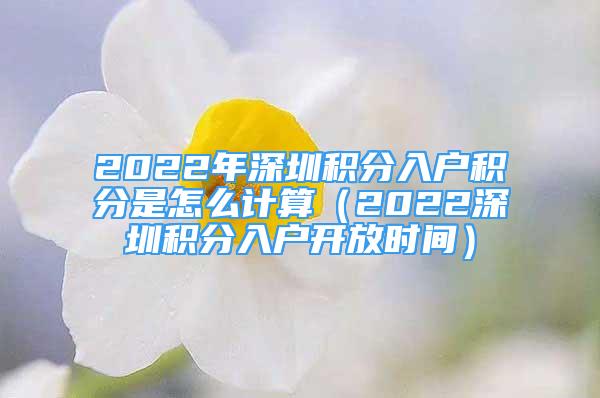 2022年深圳积分入户积分是怎么计算（2022深圳积分入户开放时间）