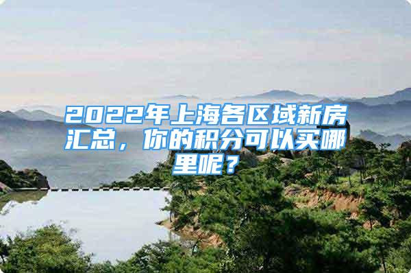 2022年上海各区域新房汇总，你的积分可以买哪里呢？