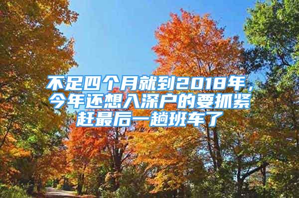 不足四个月就到2018年，今年还想入深户的要抓紧赶最后一趟班车了