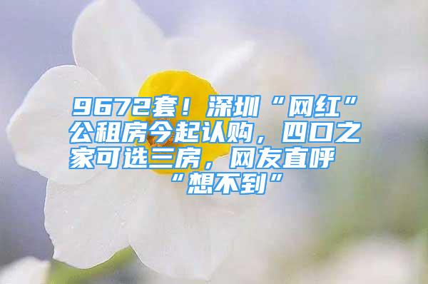 9672套！深圳“网红”公租房今起认购，四口之家可选三房，网友直呼“想不到”