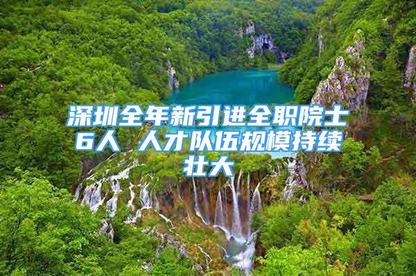 深圳全年新引进全职院士6人 人才队伍规模持续壮大