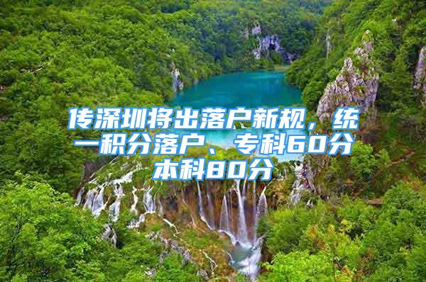 传深圳将出落户新规，统一积分落户、专科60分本科80分