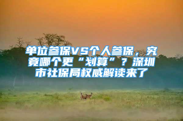 单位参保VS个人参保，究竟哪个更“划算”？深圳市社保局权威解读来了