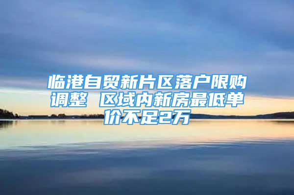 临港自贸新片区落户限购调整 区域内新房最低单价不足2万