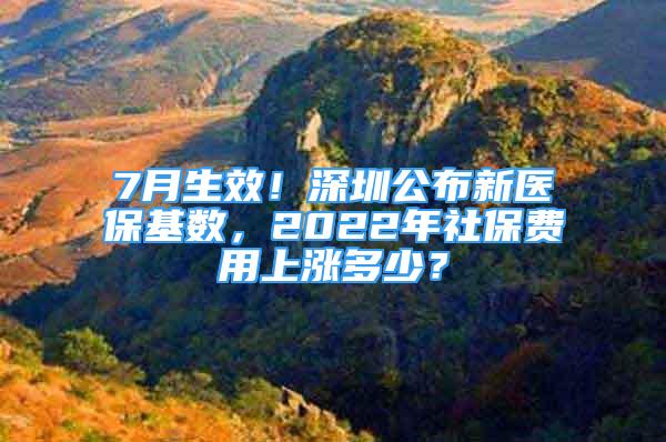 7月生效！深圳公布新医保基数，2022年社保费用上涨多少？