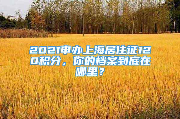 2021申办上海居住证120积分，你的档案到底在哪里？