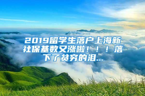 2019留学生落户上海新社保基数又涨啦！！！落下了贫穷的泪...