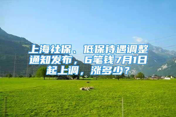 上海社保、低保待遇调整通知发布，6笔钱7月1日起上调，涨多少？