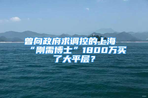 曾向政府求调控的上海“刚需博士”1800万买了大平层？