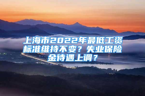 上海市2022年最低工资标准维持不变？失业保险金待遇上调？