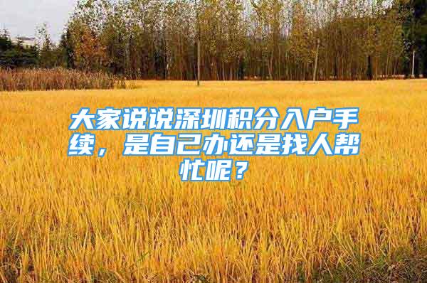 大家说说深圳积分入户手续，是自己办还是找人帮忙呢？