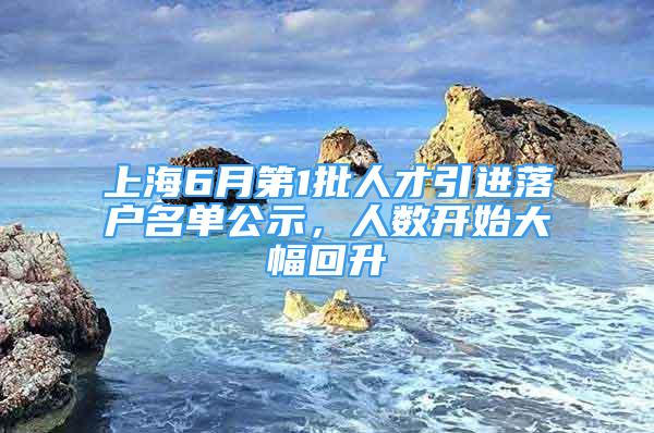 上海6月第1批人才引进落户名单公示，人数开始大幅回升