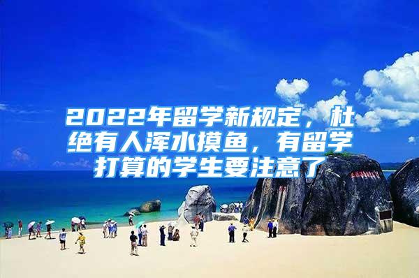 2022年留学新规定，杜绝有人浑水摸鱼，有留学打算的学生要注意了