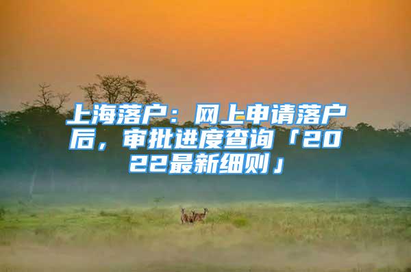 上海落户：网上申请落户后，审批进度查询「2022最新细则」