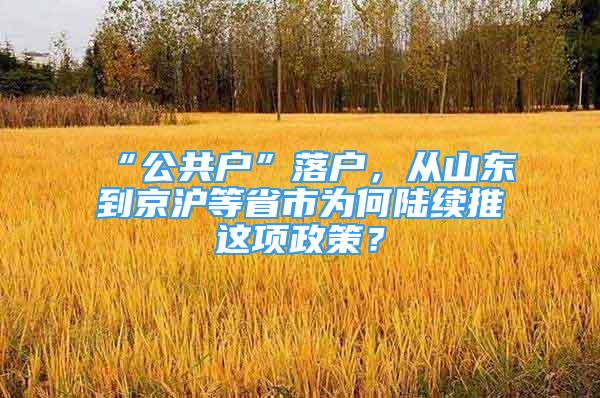 “公共户”落户，从山东到京沪等省市为何陆续推岀这项政策？