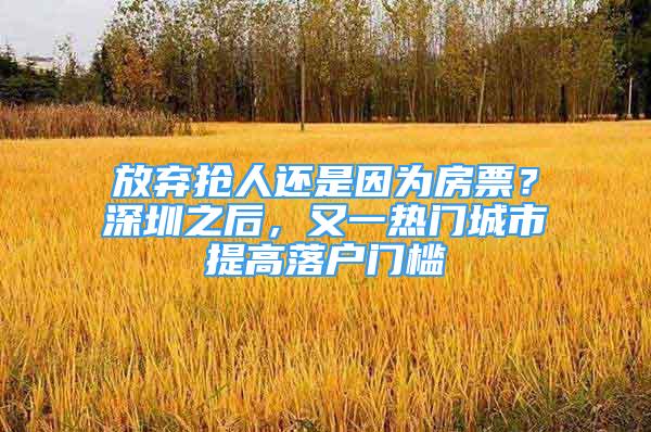 放弃抢人还是因为房票？深圳之后，又一热门城市提高落户门槛