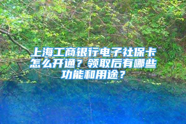 上海工商银行电子社保卡怎么开通？领取后有哪些功能和用途？