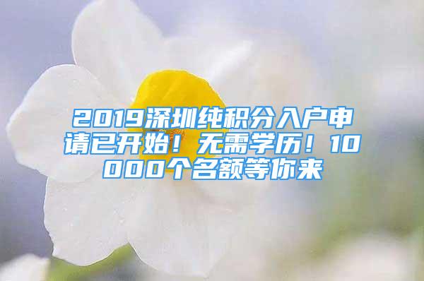 2019深圳纯积分入户申请已开始！无需学历！10000个名额等你来